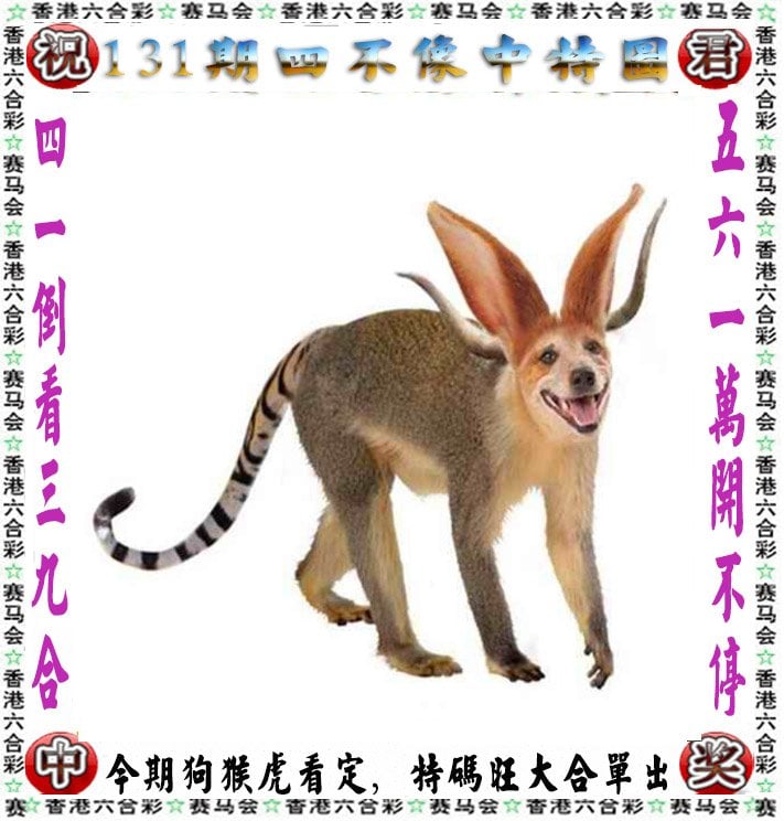 王中王一肖一特一中一,数据解释落实_整合版121,127.13