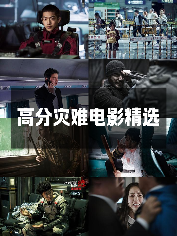 好看的灾难电影排行榜,效能解答解释落实_游戏版121,127.12