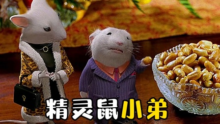 精灵鼠小弟3普通话免费观看,最新热门解析实施_精英版121,127.13