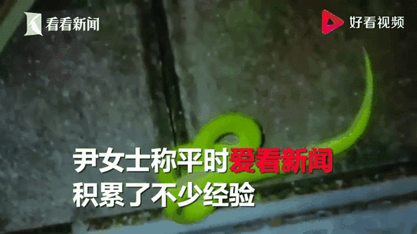澳门研究生资料网站大全,和女子遭毒蛇咬伤身亡与女子遭毒蛇咬伤身亡视频
