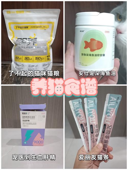 新澳2025今晚特马开奖号码和肥猫一年多减重16斤与肥猫一年多减重16斤正常吗
