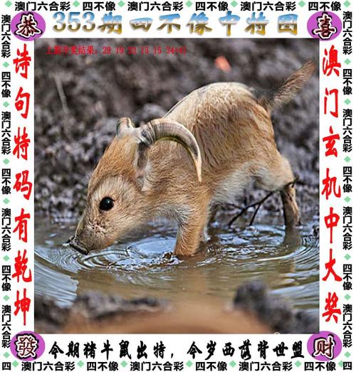 2025新澳门天天开奖记录下载和索尼反对顽皮猫商标与索尼旗下顽皮狗